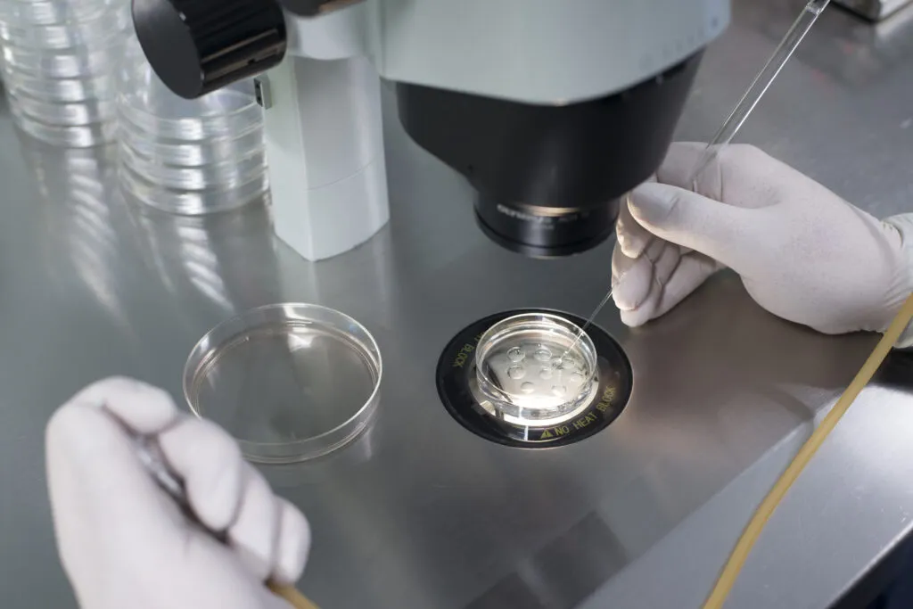 Fertilización in vitro 