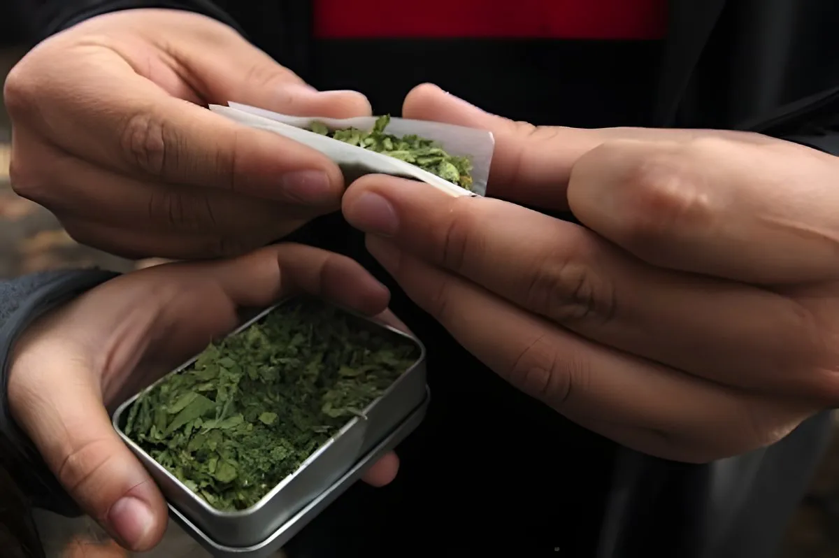 marihuana impacto en cerebro