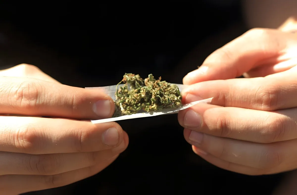 Imagen ilustrativa utilizada en contenidos educativos sobre marihuana y prevención del consumo en jóvenes.