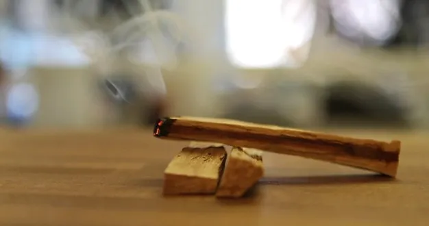 para que se usa el palo santo