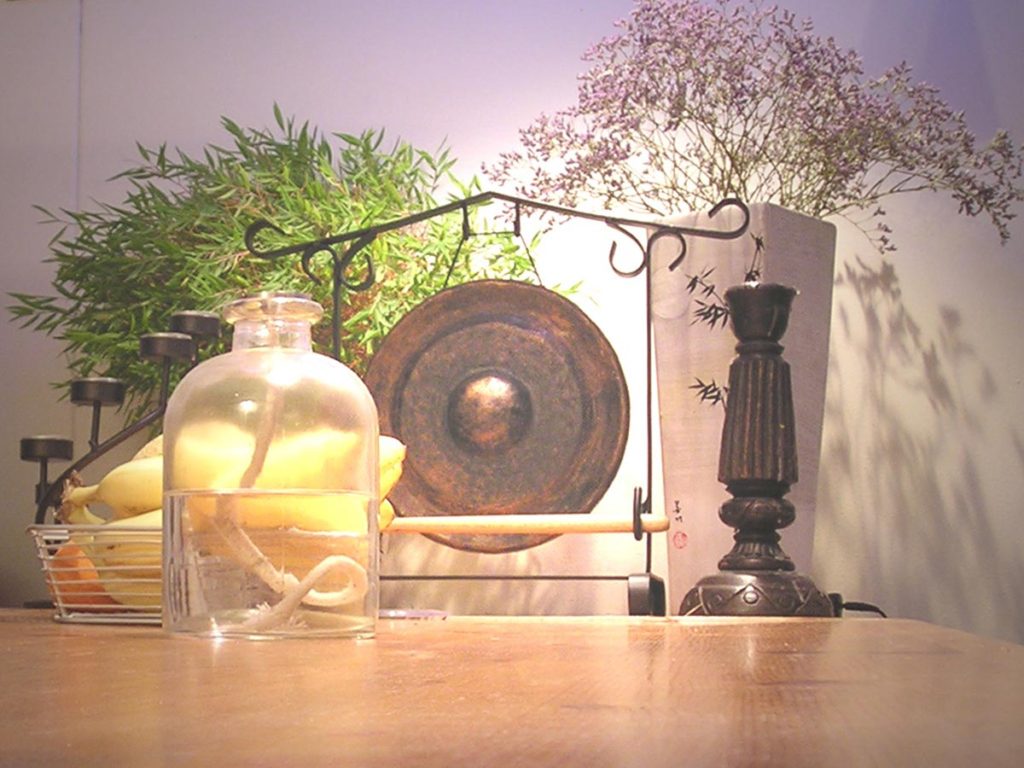 Armonía y equilibrio en la decoración según el Feng Shui 2026. Espacio armónico decorado según el Feng Shui con plantas naturales, gong y elementos de relajación.