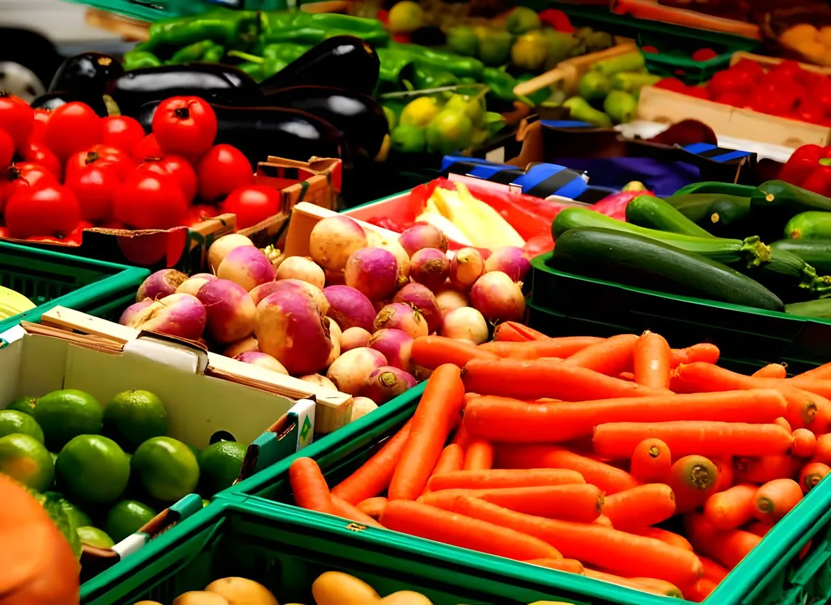 vegetariano significado
