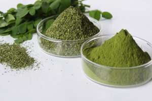que propiedades tiene la moringa