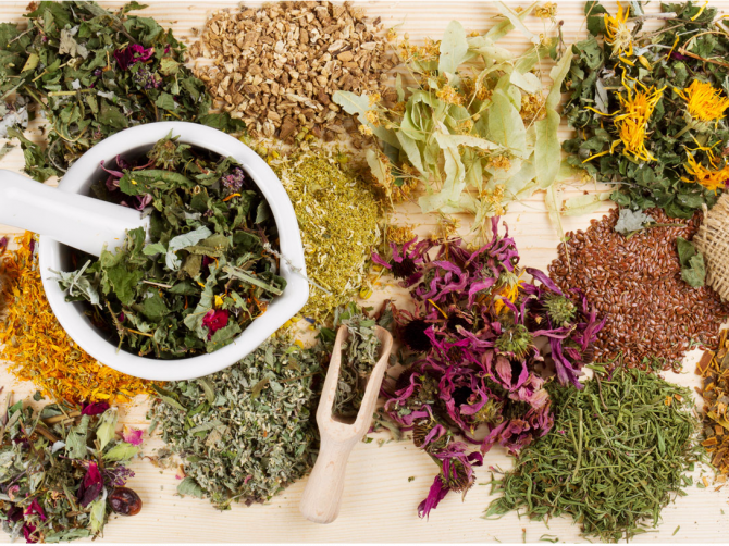 ayurveda que es