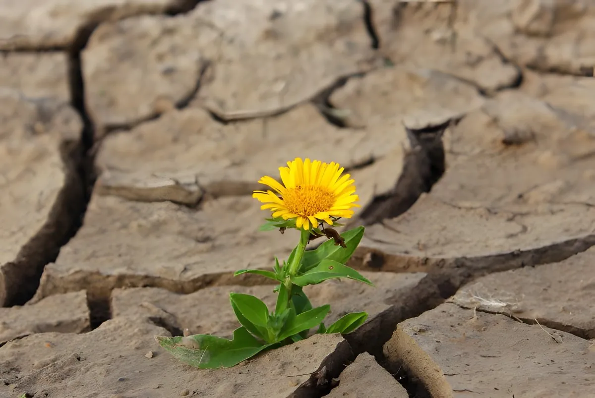 resiliencia