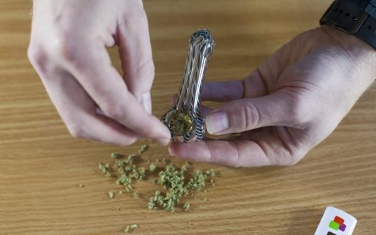 Cómo afecta el cannabis a nuestra mente según nuevas investigaciones 1 Cómo afecta el cannabis a nuestra mente según nuevas investigaciones 1