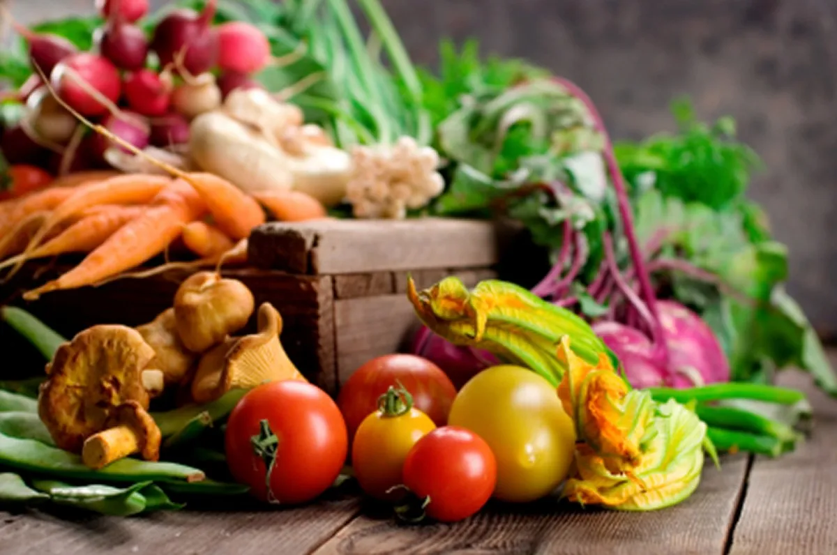 nutricion y cancer