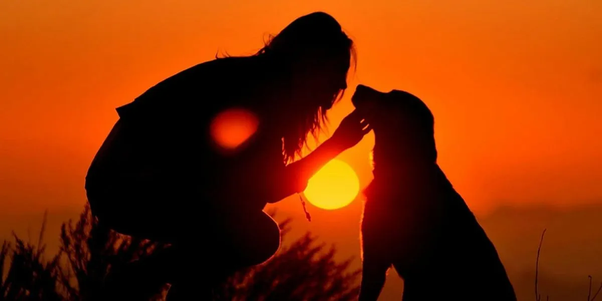 Científicos demuestran la importancia de la mascotas en los tratamientos de salud mental