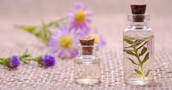 Claves de la vida saludable según la medicina naturista 6 terapia floral
