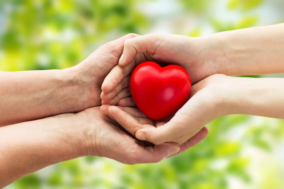 donacion de organos