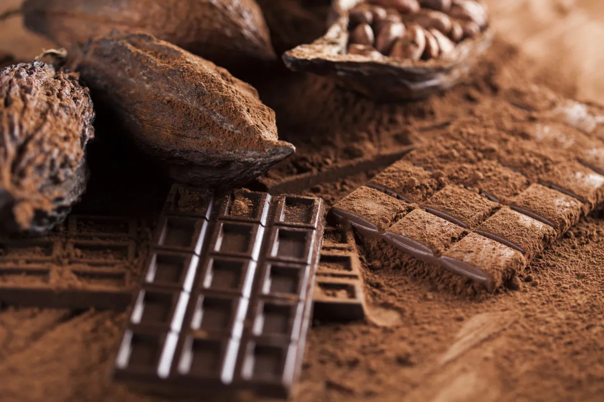 propiedades del chocolate