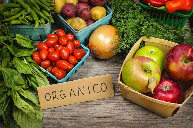 mercados organicos