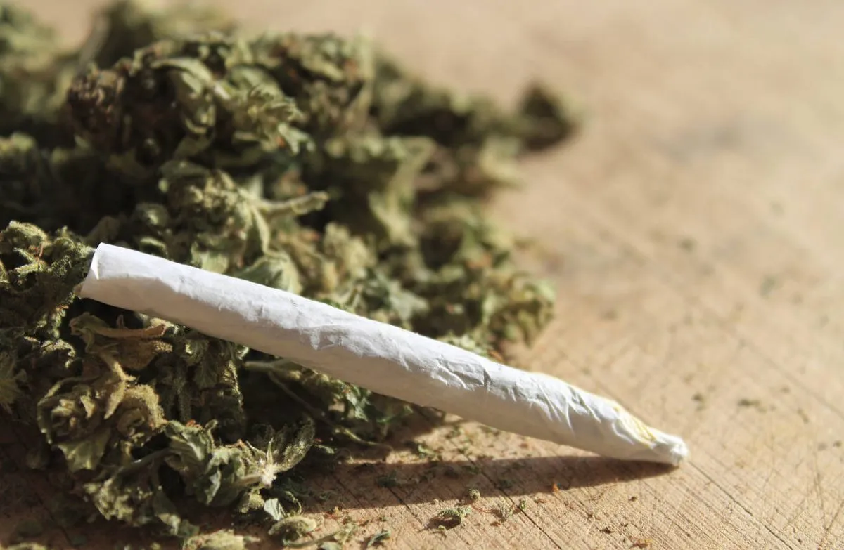 el porro es la forma de consumo de marihuana más común