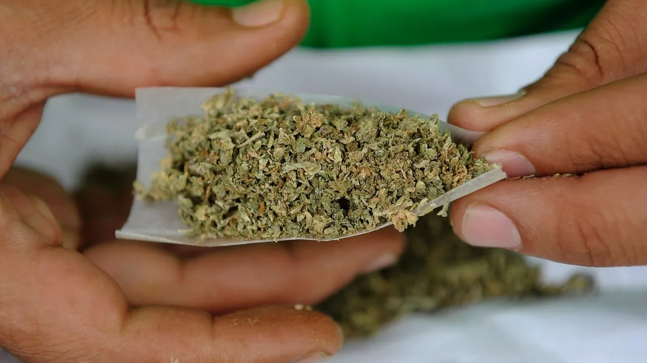 marihuana