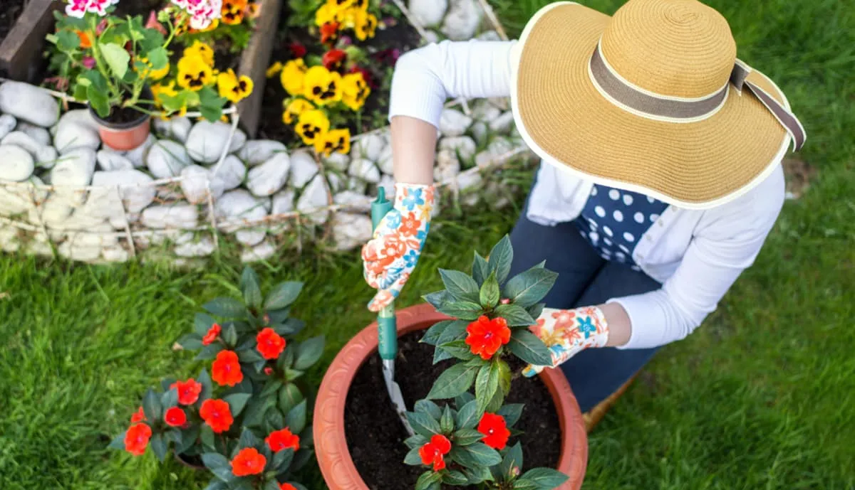 primavera