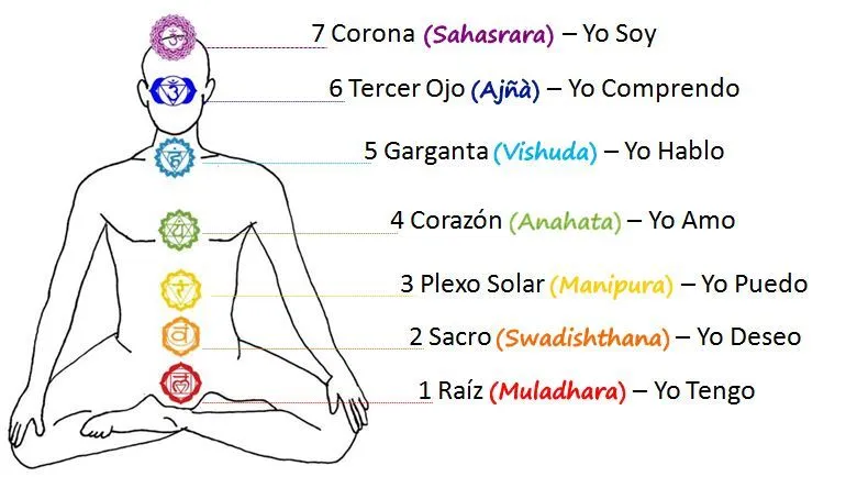 dónde están los chakras