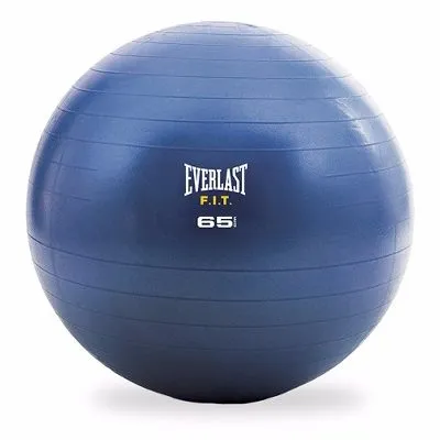 pelota fitball