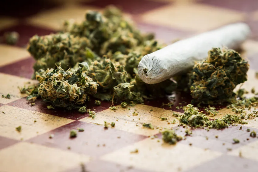 efectos del porro