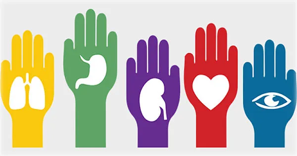 donación de organos
