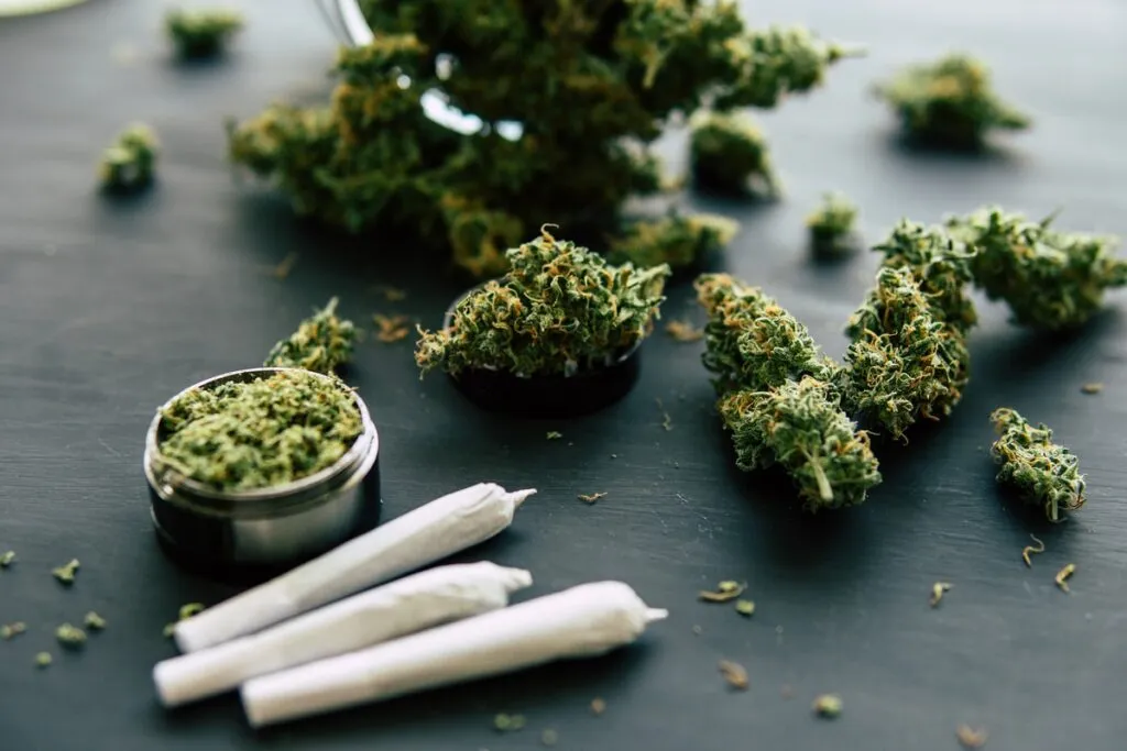 Primer plano de flores secas de marihuana y cigarrillos enrollados sobre una superficie negra, usada con fines informativos.