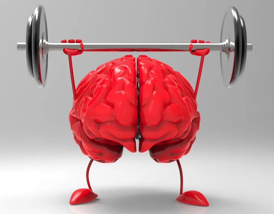 cerebro sludable