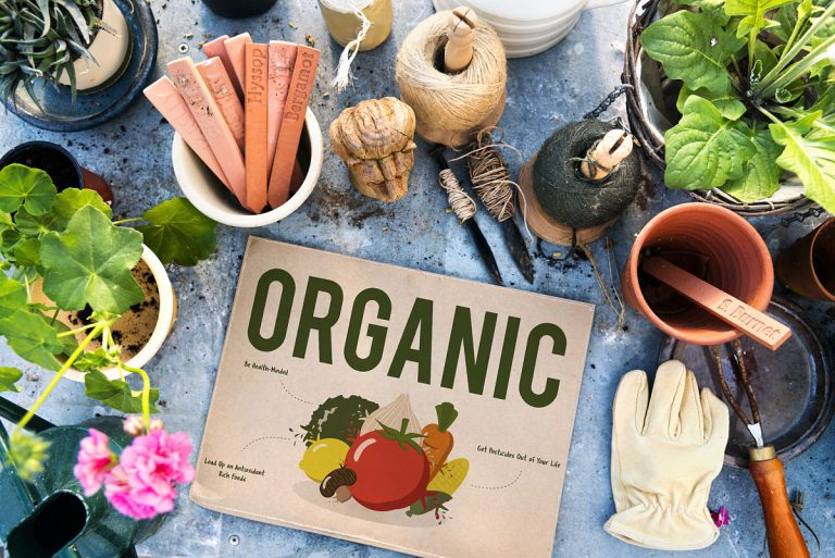 5 plantas comestibles