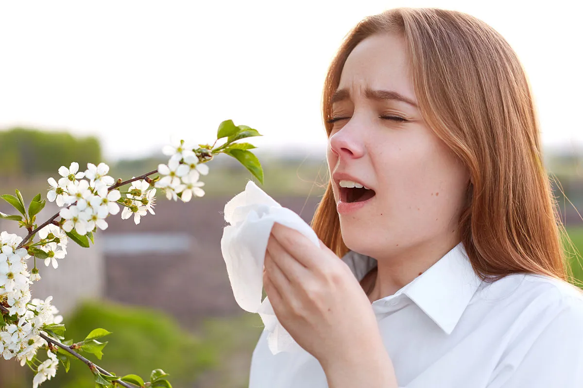 alergia primaveral