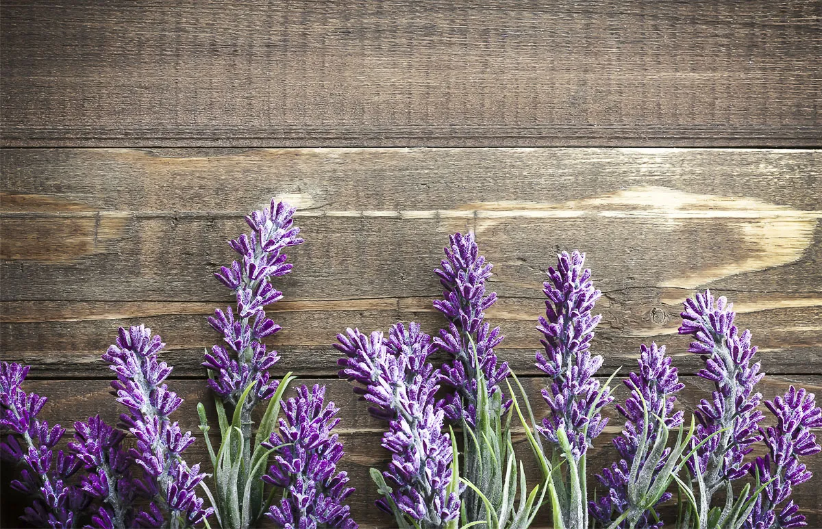 te relajante para dormir lavanda