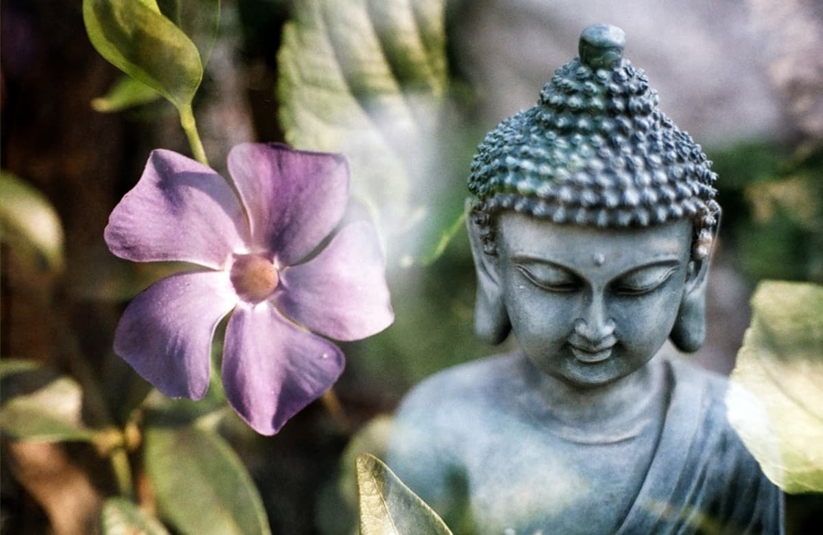 Mejores frases de Buda para encontrar paz y evolucionar