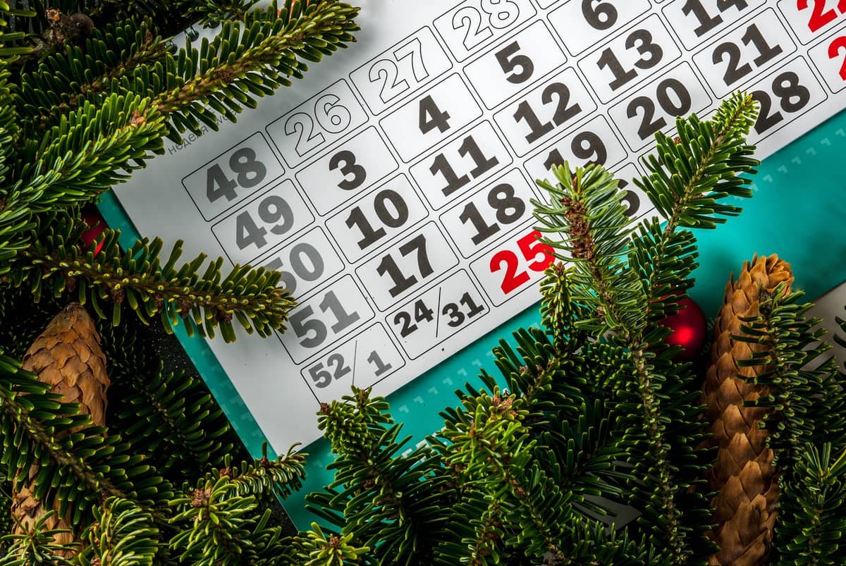 horóscopo de diciembre