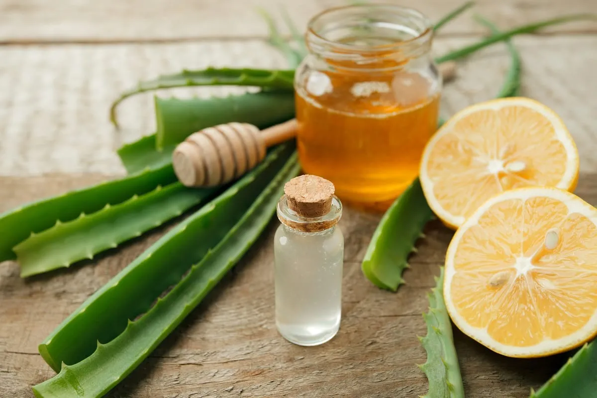 plantas medicinales para que sirve el aloe vera