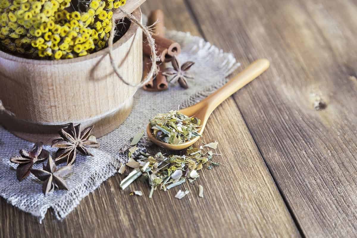 qué son las plantas medicinales y para qué sirven