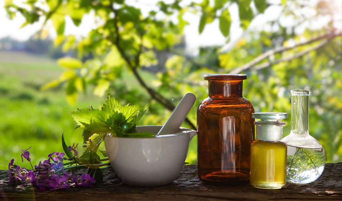 Qué Son Aceites Esenciales: Usos Y Beneficios De La Aromaterapia