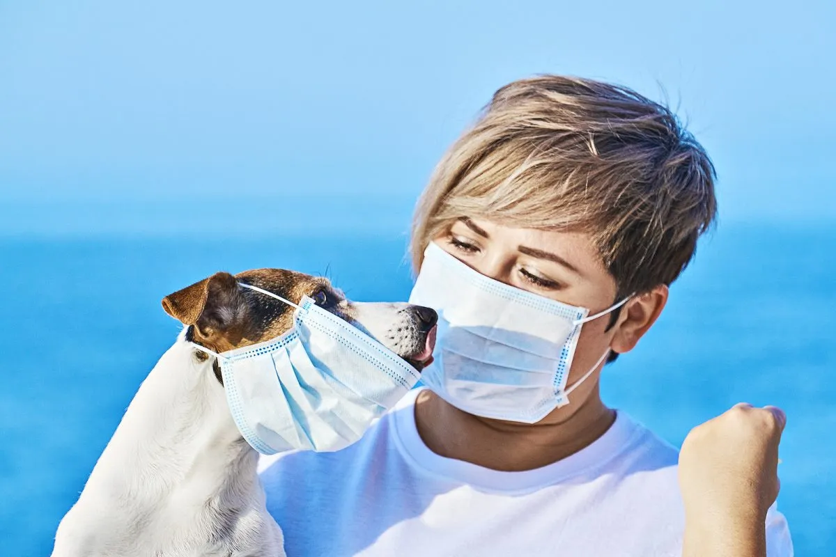 mascotas coronavirus