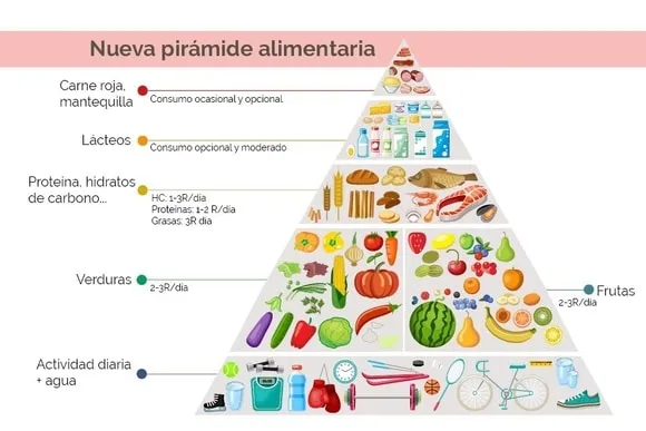 piramide alimentaria nueva harvard