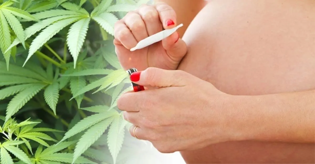embarazo marihuana