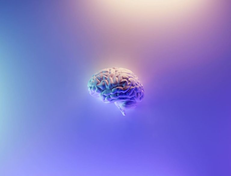tipos de inteligencia: cerebro azul