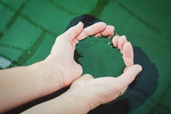 que beneficios tiene la espirulina