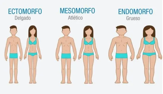 como adelgazar un cuerpo endomorfo
