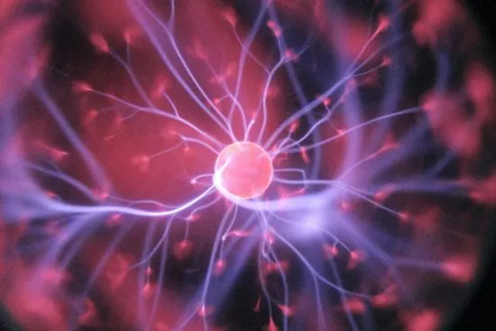 celulas madre cerebro