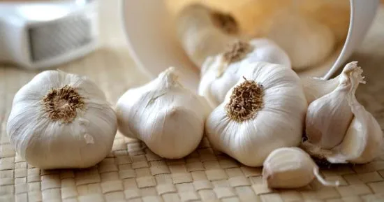 ajo fructooligosacáridos son un tipo de fibra soluble que contienen fructosa y que se encuentran de forma natural en algunas frutas y verduras.
