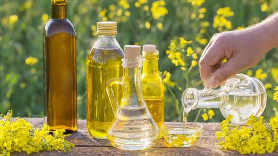 Aceite de canola: propiedades, beneficios, mitos y verdades 2