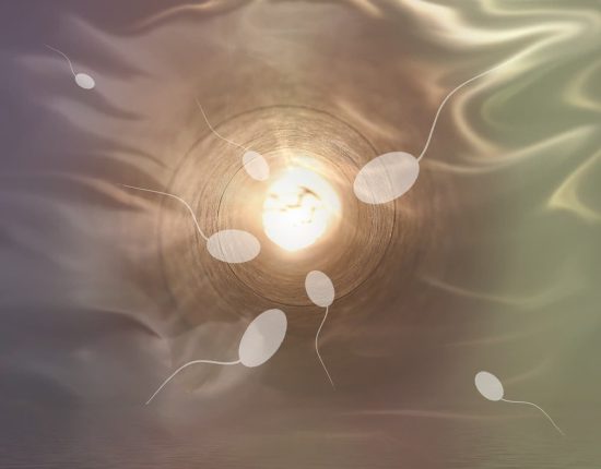mindfulness fertilidad