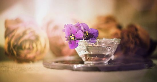 Claves de la vida saludable según la medicina naturista 8 medicina naturista en qué se basa
