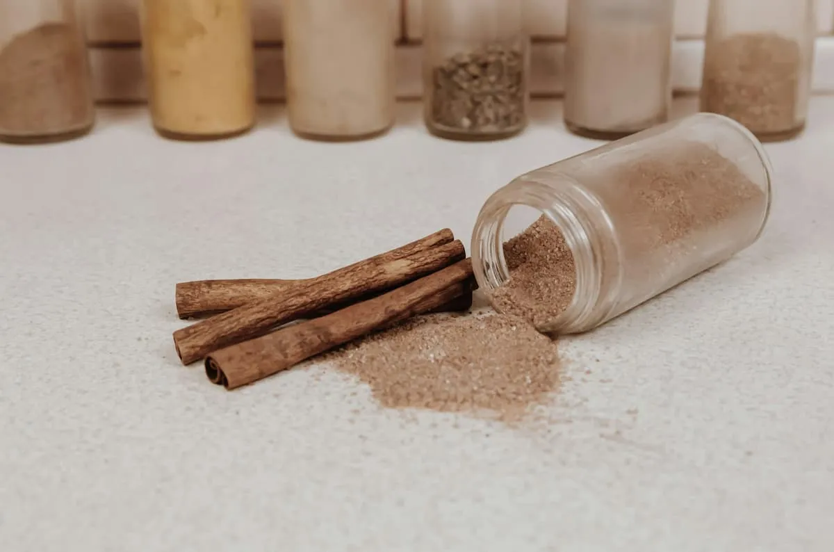 se puede consumir canela en el embarazo