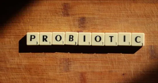 La palabra 'Probiotic' con letras, explicando cómo los prebióticos de la manzana alimentan a estas bacterias para proteger la flora intestinal.