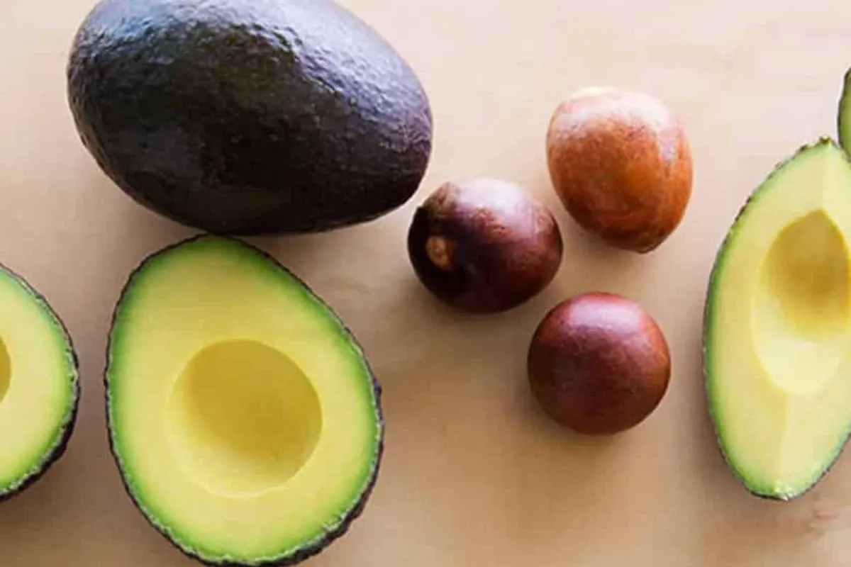 Semilla de aguacate para adelgazar