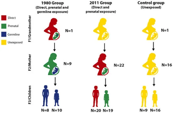 Los investigadores estudiaron tres generaciones de sirios. (Mulligan et al., Scientific Reports, 2025)