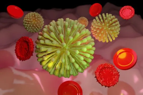 Microorganismos intestinales vistos en detalle