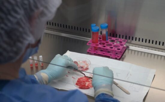 ¿Vale la pena guardar células madre del cordón umbilical? Qué dice la evidencia científica 7 Científica trabajando en el laboratorio de MaterCell con celulas madre